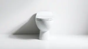 Fotografia profissional de um vaso sanitário monobloco moderno, representando os melhores modelos para comprar e instalar em seu banheiro.